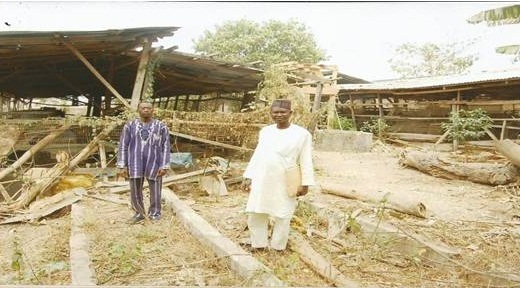 Success Story: BOLAD FARMS, Oyo State